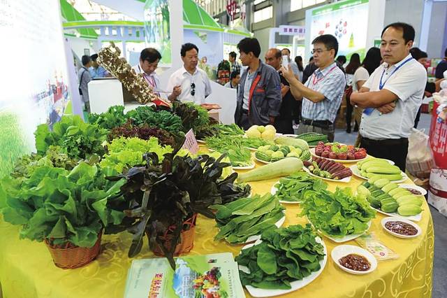 我市参加第十九届中国绿博会圆满收官，初级农产品引领新成果突破