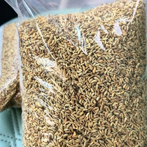 全州金槐米 日光晾晒下的自然馈赠与初农本味