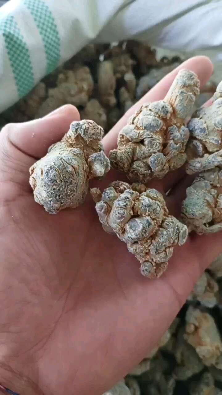 初级农产品三七产地直供30头